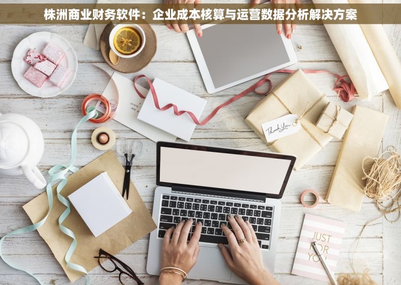株洲商业财务软件：企业成本核算与运营数据分析解决方案