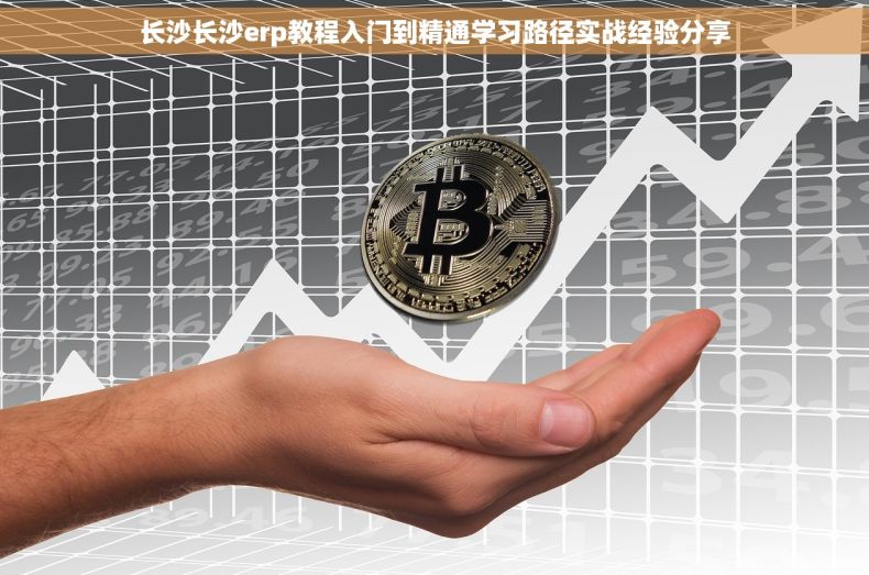 长沙长沙erp教程入门到精通学习路径实战经验分享