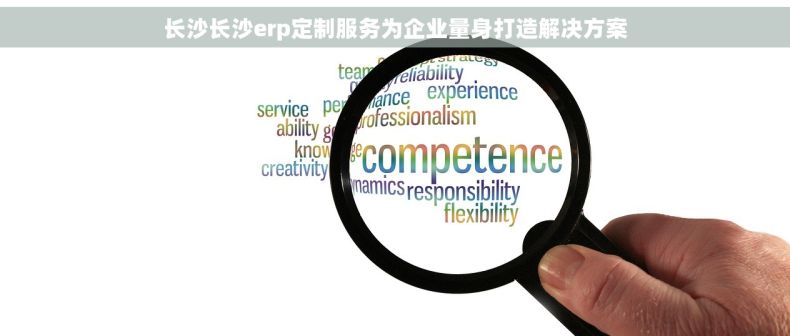 长沙长沙erp定制服务为企业量身打造解决方案