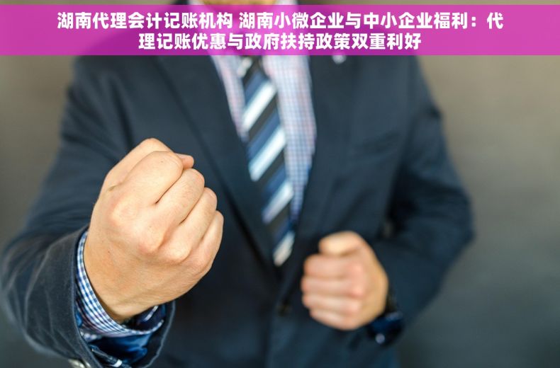 湖南代理会计记账机构 湖南小微企业与中小企业福利：代理记账优惠与政府扶持政策双重利好