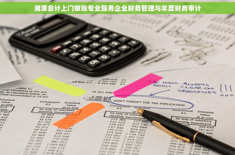 湘潭会计上门做账专业服务企业财务管理与年度财务审计