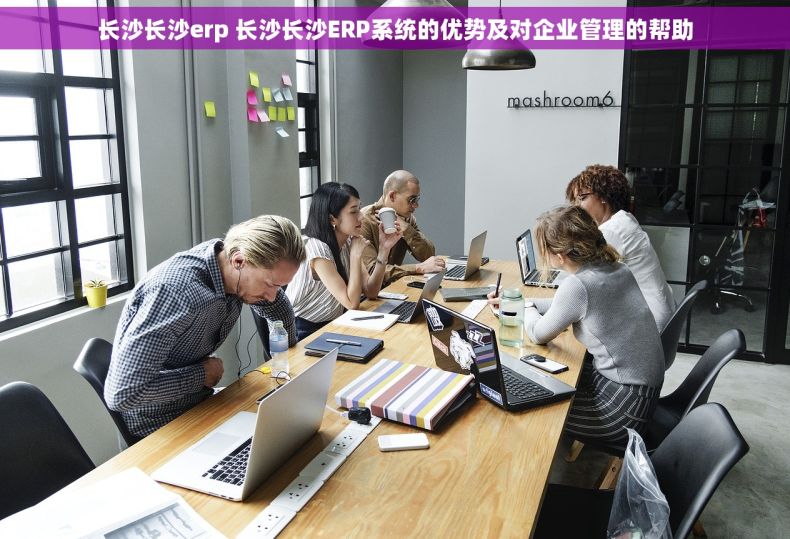 长沙长沙erp 长沙长沙ERP系统的优势及对企业管理的帮助