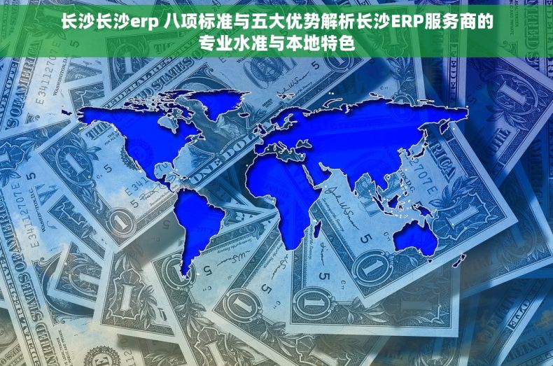 长沙长沙erp 八项标准与五大优势解析长沙ERP服务商的专业水准与本地特色