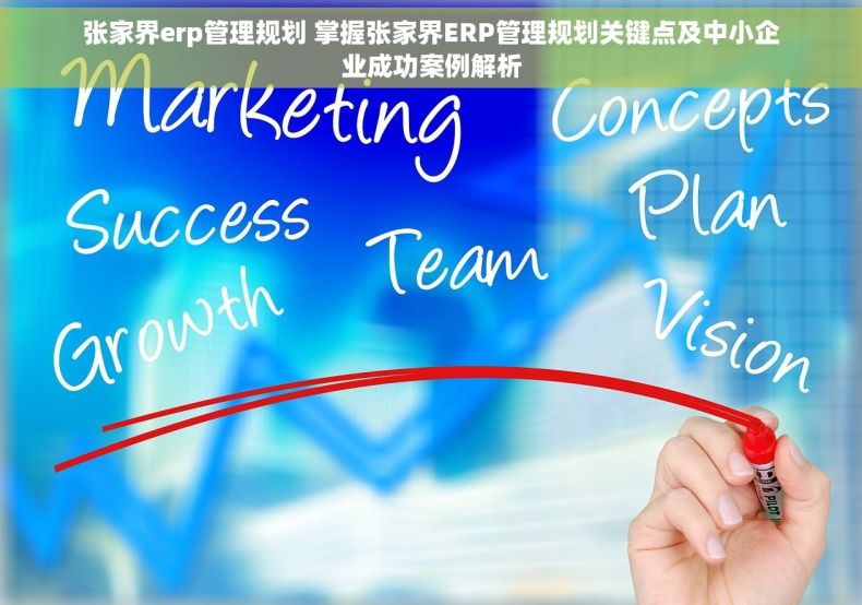 张家界erp管理规划 掌握张家界ERP管理规划关键点及中小企业成功案例解析