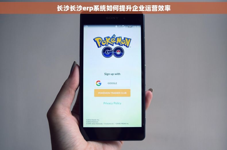 长沙长沙erp系统如何提升企业运营效率