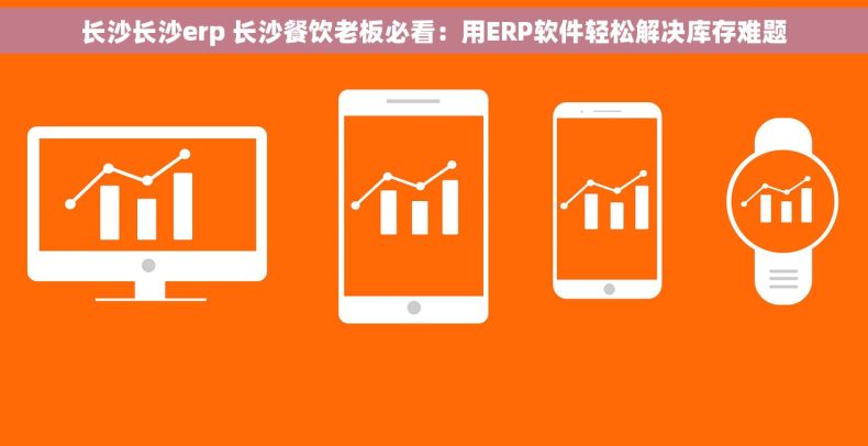 长沙长沙erp 长沙餐饮老板必看：用ERP软件轻松解决库存难题