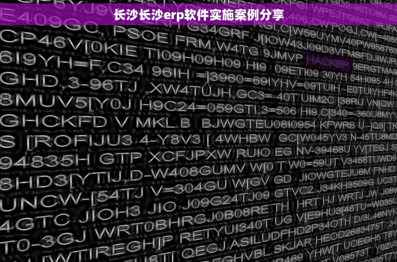 长沙长沙erp软件实施案例分享