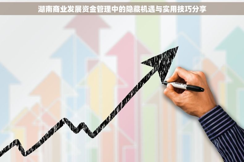 湖南商业发展资金管理中的隐藏机遇与实用技巧分享