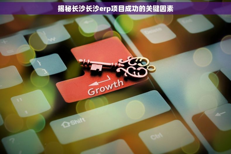 揭秘长沙长沙erp项目成功的关键因素
