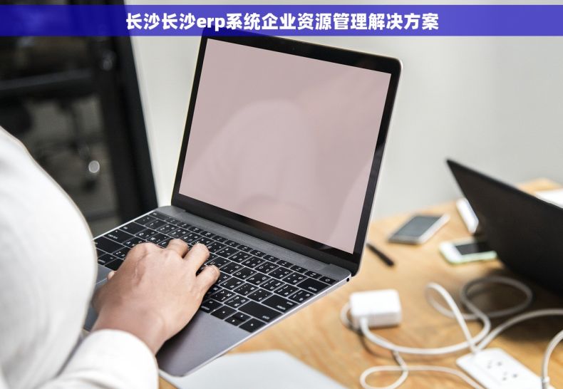 长沙长沙erp系统企业资源管理解决方案