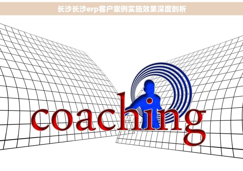 长沙长沙erp客户案例实施效果深度剖析