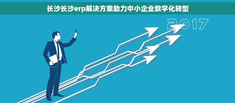 长沙长沙erp解决方案助力中小企业数字化转型