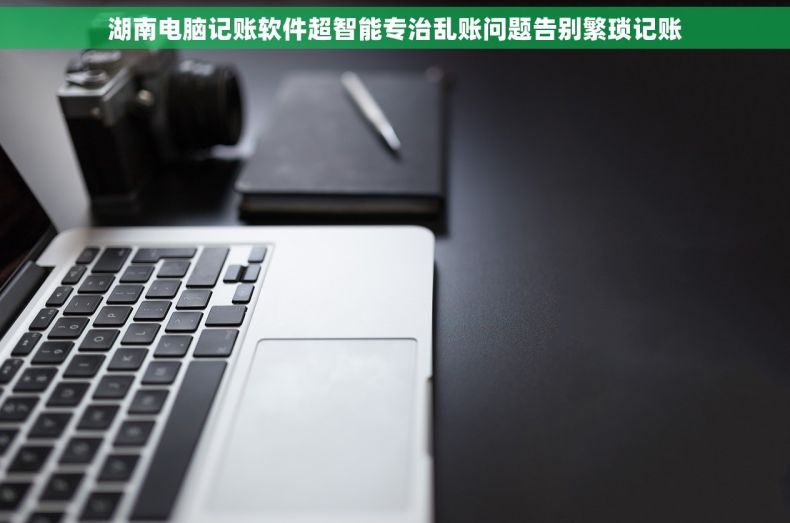 湖南电脑记账软件超智能专治乱账问题告别繁琐记账
