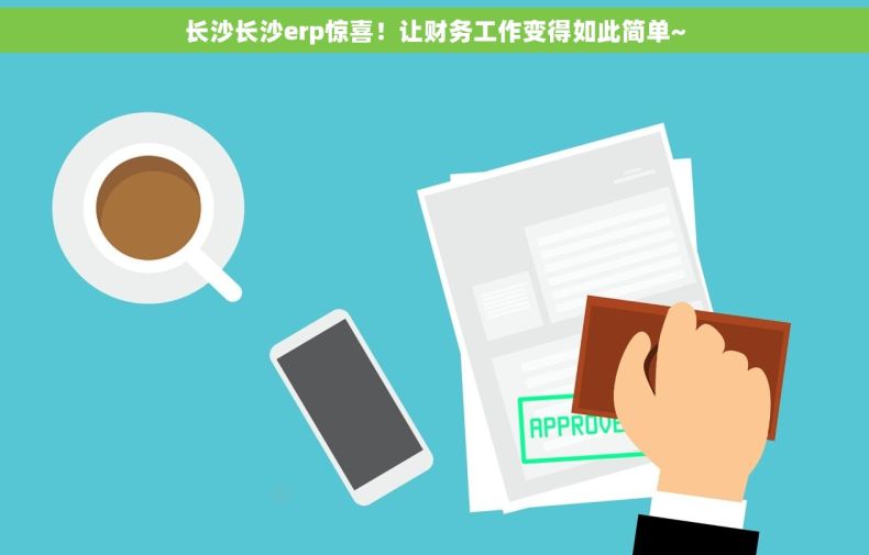 长沙长沙erp惊喜！让财务工作变得如此简单~