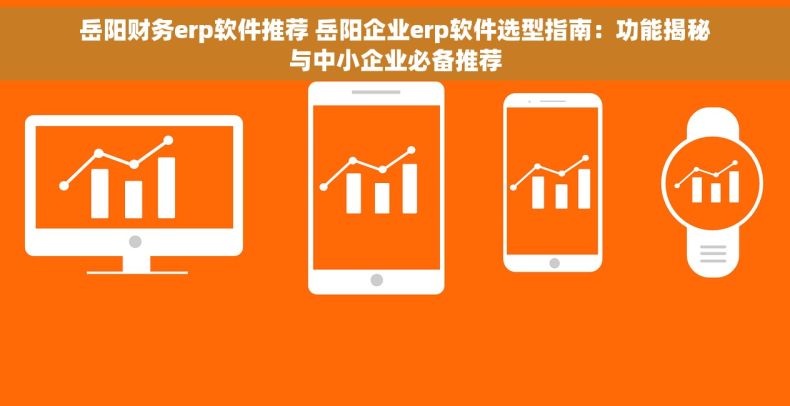 岳阳财务erp软件推荐 岳阳企业erp软件选型指南：功能揭秘与中小企业必备推荐
