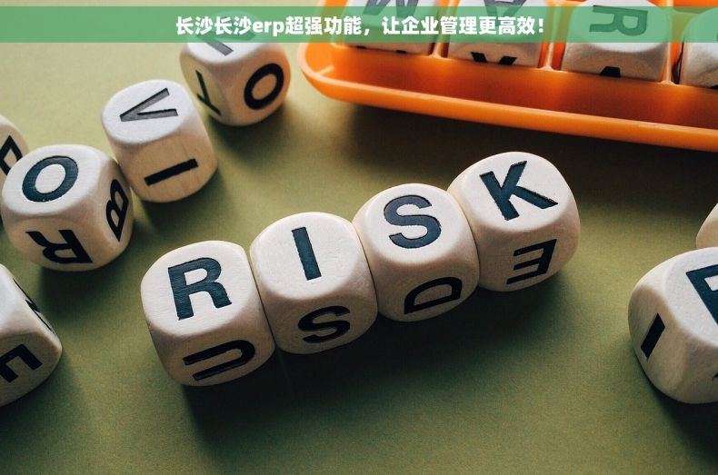 长沙长沙erp超强功能，让企业管理更高效！