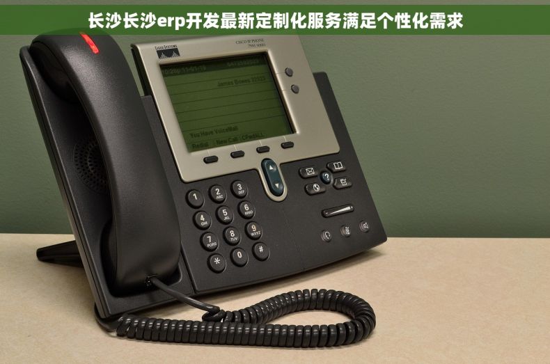 长沙长沙erp开发最新定制化服务满足个性化需求
