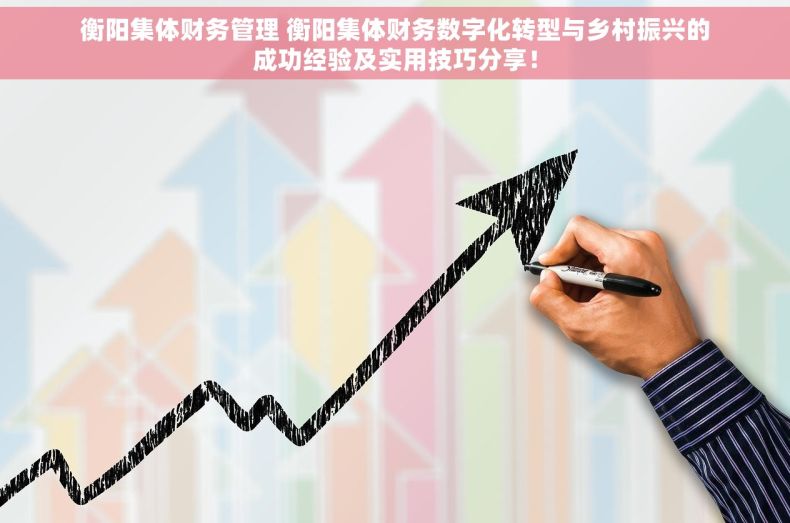 衡阳集体财务管理 衡阳集体财务数字化转型与乡村振兴的成功经验及实用技巧分享！