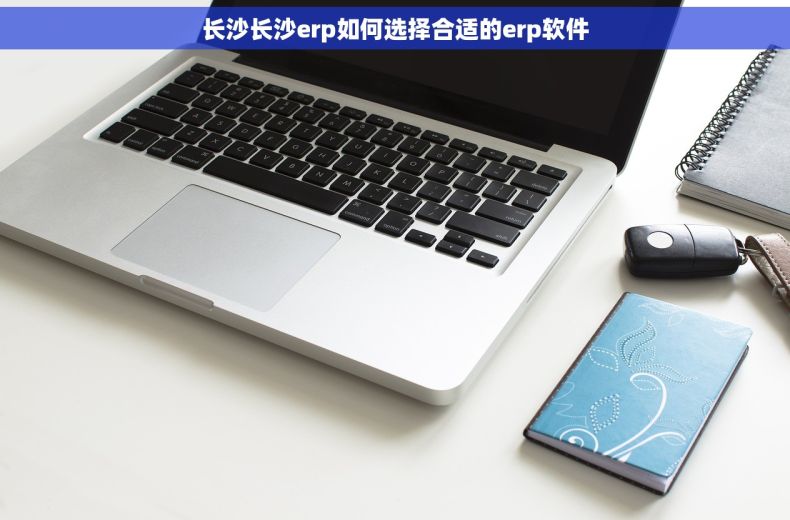 长沙长沙erp如何选择合适的erp软件