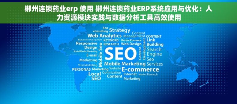 郴州连锁药业erp 使用 郴州连锁药业ERP系统应用与优化：人力资源模块实践与数据分析工具高效使用