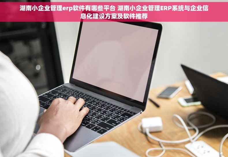 湖南小企业管理erp软件有哪些平台 湖南小企业管理ERP系统与企业信息化建设方案及软件推荐