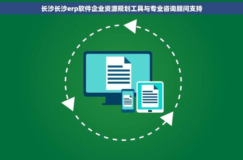 长沙长沙erp软件企业资源规划工具与专业咨询顾问支持