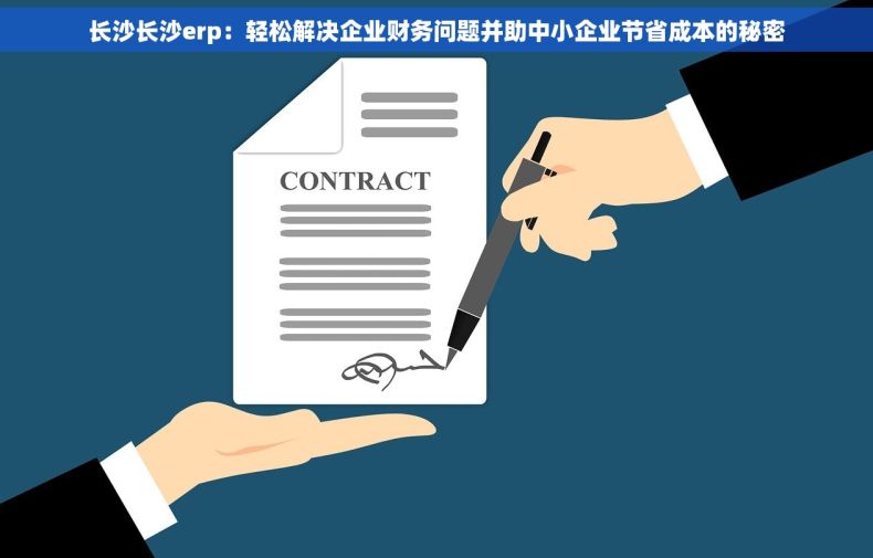 长沙长沙erp：轻松解决企业财务问题并助中小企业节省成本的秘密
