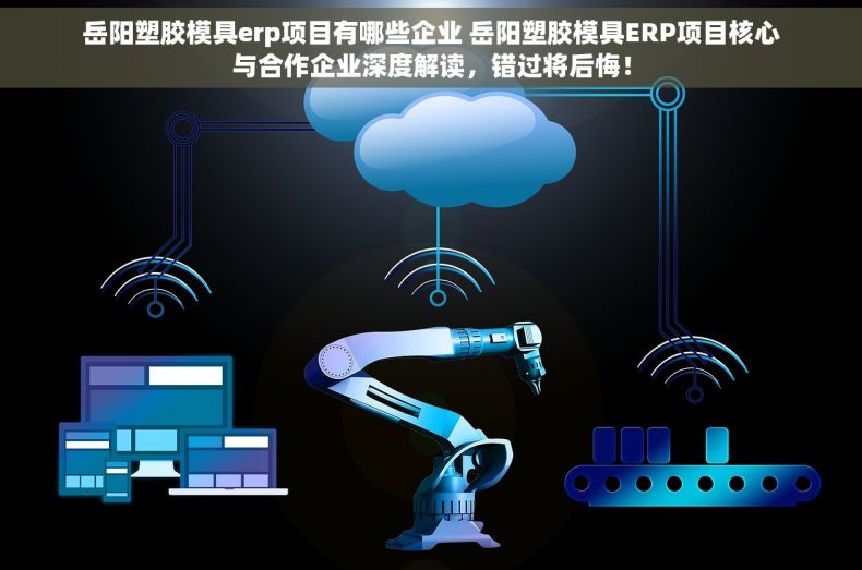 岳阳塑胶模具erp项目有哪些企业 岳阳塑胶模具ERP项目核心与合作企业深度解读，错过将后悔！