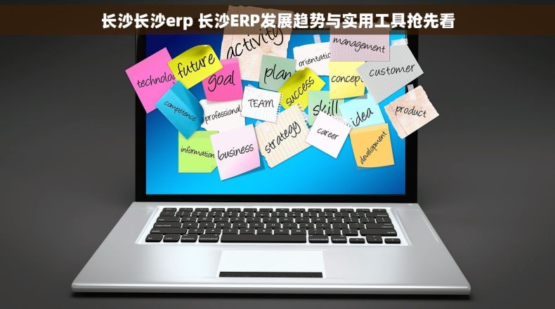 长沙长沙erp 长沙ERP发展趋势与实用工具抢先看