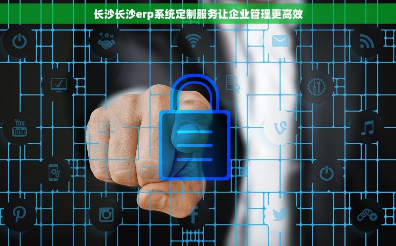 长沙长沙erp系统定制服务让企业管理更高效