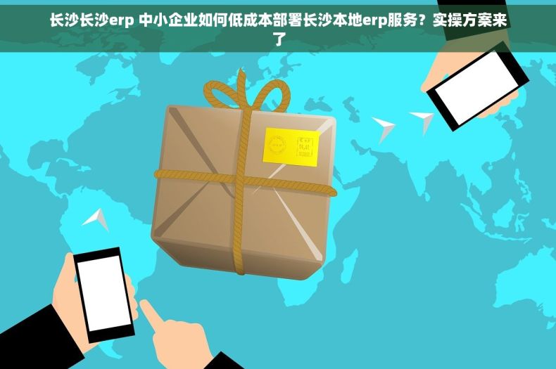 长沙长沙erp 中小企业如何低成本部署长沙本地erp服务？实操方案来了
