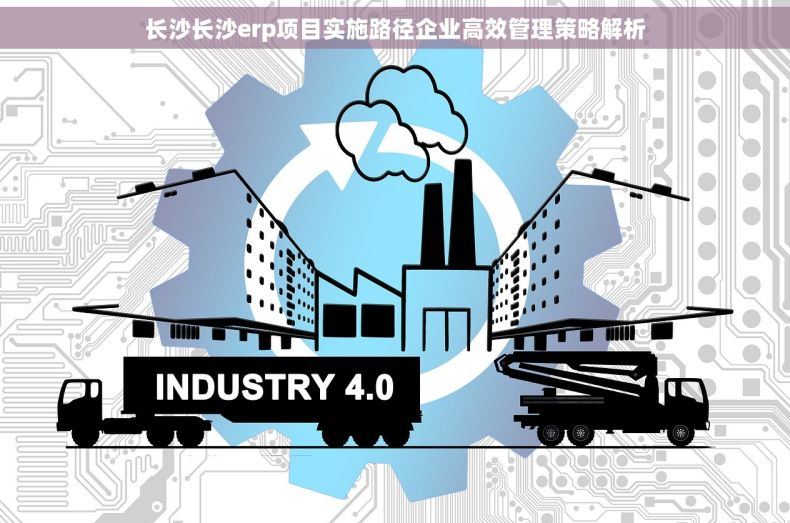 长沙长沙erp项目实施路径企业高效管理策略解析