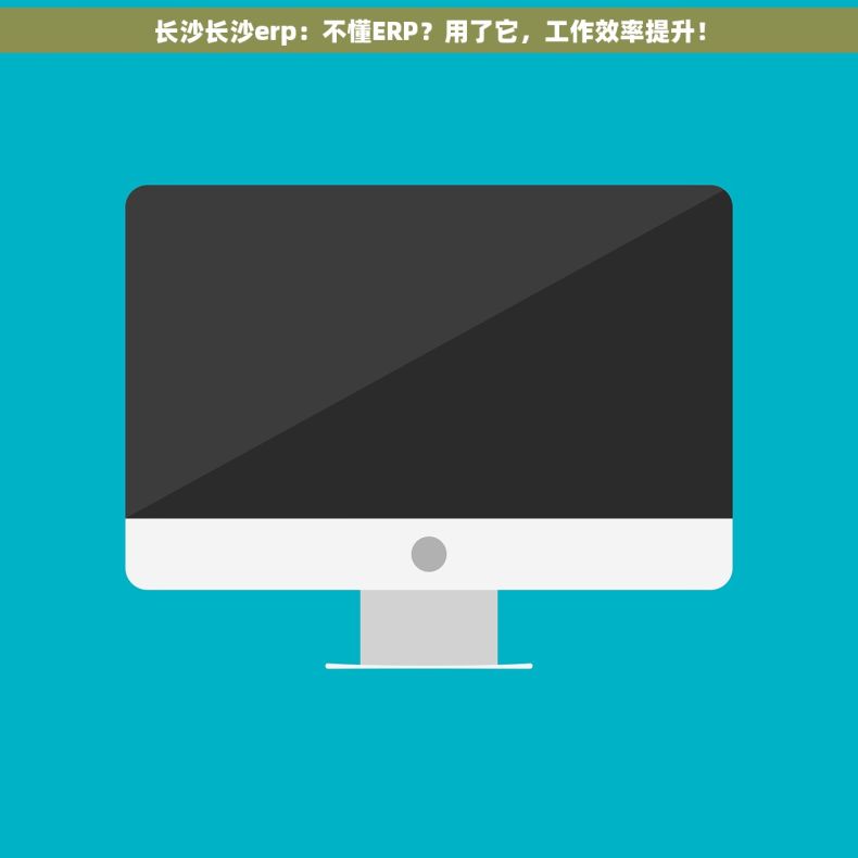 长沙长沙erp：不懂ERP？用了它，工作效率提升！