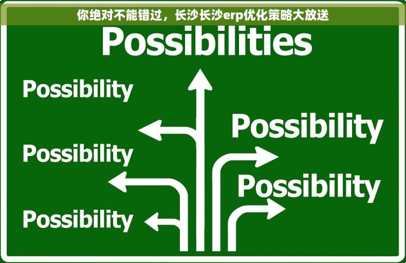 你绝对不能错过，长沙长沙erp优化策略大放送