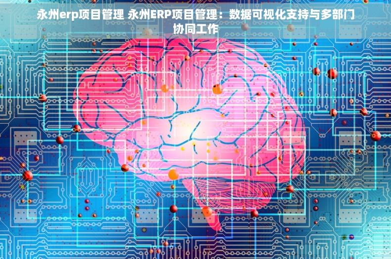 永州erp项目管理 永州ERP项目管理：数据可视化支持与多部门协同工作