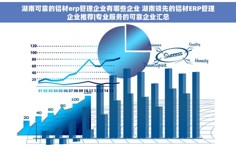 湖南可靠的铝材erp管理企业有哪些企业 湖南领先的铝材ERP管理企业推荐|专业服务的可靠企业汇总