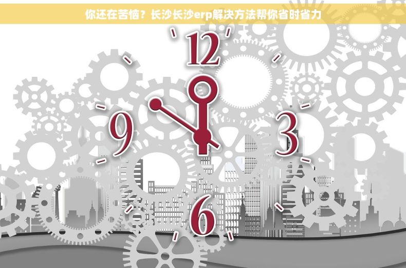 你还在苦恼？长沙长沙erp解决方法帮你省时省力