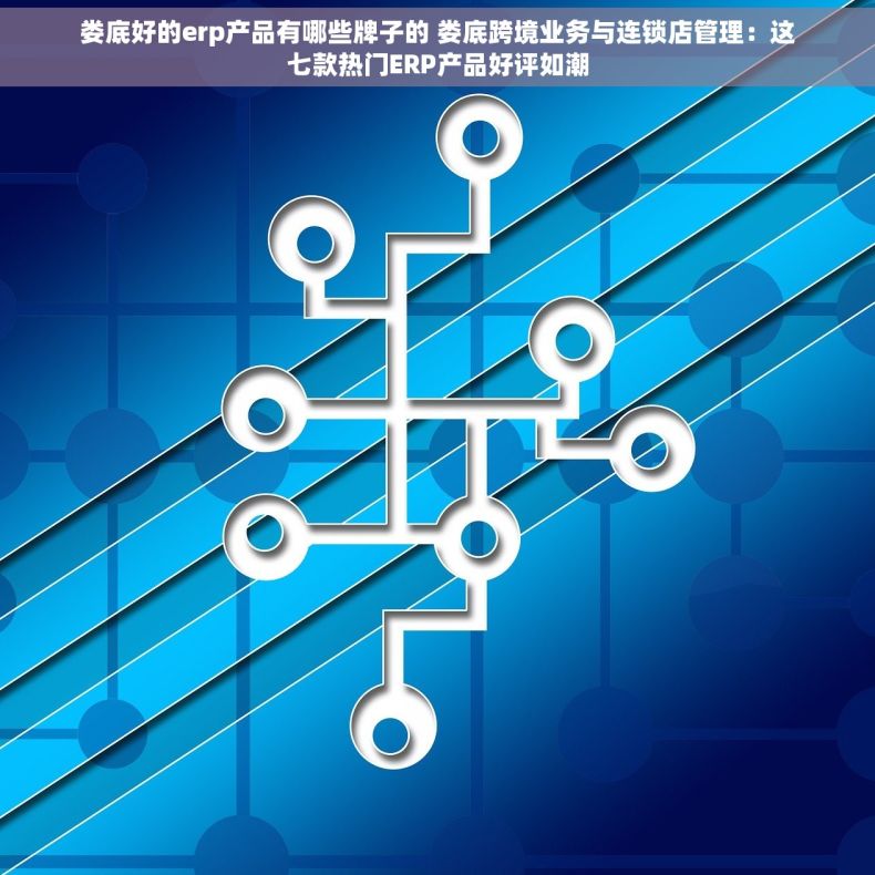 娄底好的erp产品有哪些牌子的 娄底跨境业务与连锁店管理：这七款热门ERP产品好评如潮