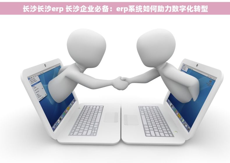 长沙长沙erp 长沙企业必备：erp系统如何助力数字化转型