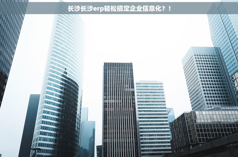 长沙长沙erp轻松搞定企业信息化？！