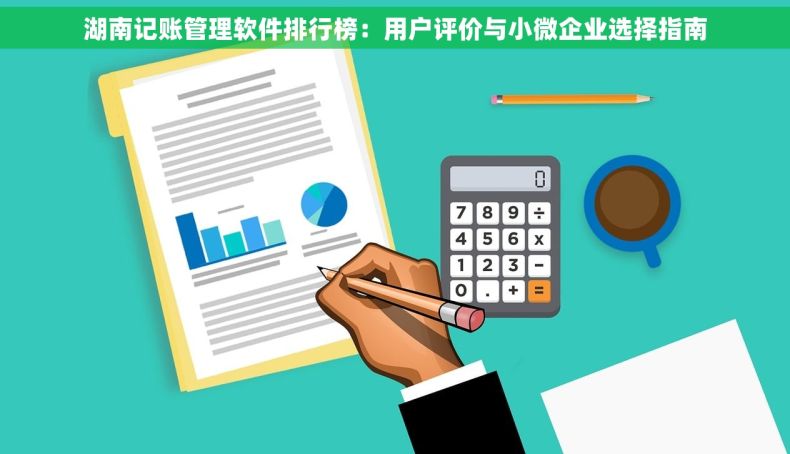 湖南记账管理软件排行榜：用户评价与小微企业选择指南