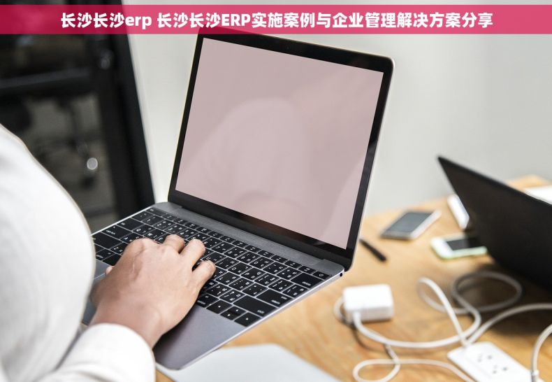 长沙长沙erp 长沙长沙ERP实施案例与企业管理解决方案分享