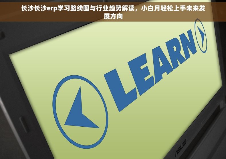 长沙长沙erp学习路线图与行业趋势解读，小白月轻松上手未来发展方向