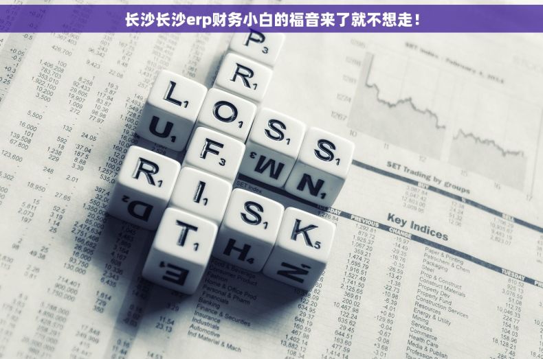 长沙长沙erp财务小白的福音来了就不想走！
