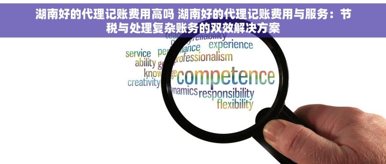 湖南好的代理记账费用高吗 湖南好的代理记账费用与服务：节税与处理复杂账务的双效解决方案