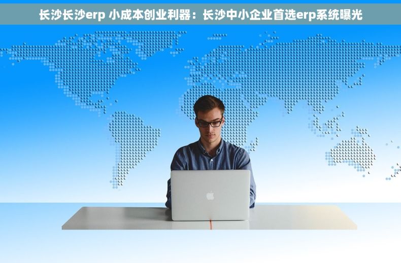 长沙长沙erp 小成本创业利器：长沙中小企业首选erp系统曝光