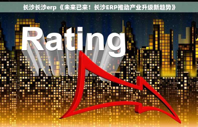 长沙长沙erp 《未来已来！长沙ERP推动产业升级新趋势》