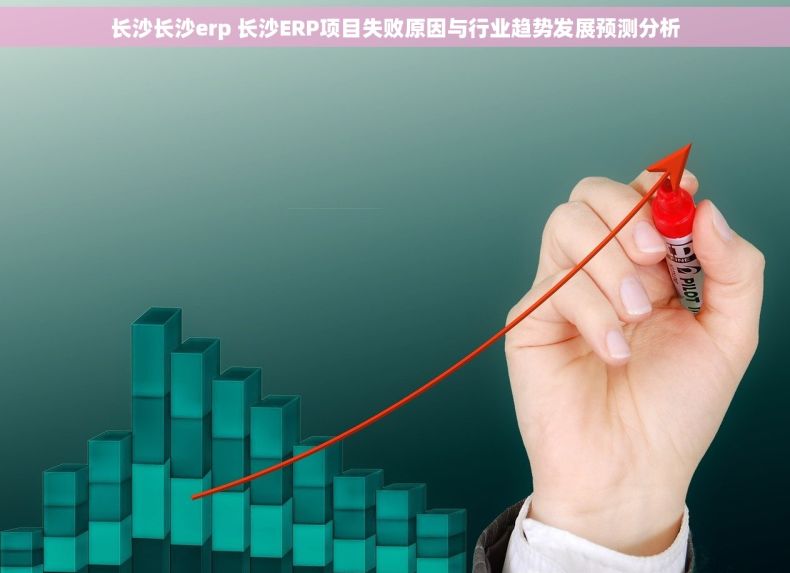 长沙长沙erp 长沙ERP项目失败原因与行业趋势发展预测分析