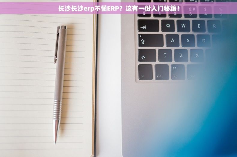 长沙长沙erp不懂ERP？这有一份入门秘籍！