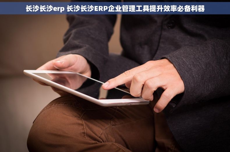 长沙长沙erp 长沙长沙ERP企业管理工具提升效率必备利器